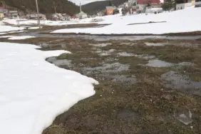 Eğriçimen Yaylası Baharla Canlandı