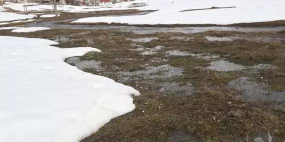 Eğriçimen Yaylası Baharla Canlandı