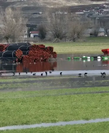 Hafik'te Tarım Arazilerinde Su Birikintileri