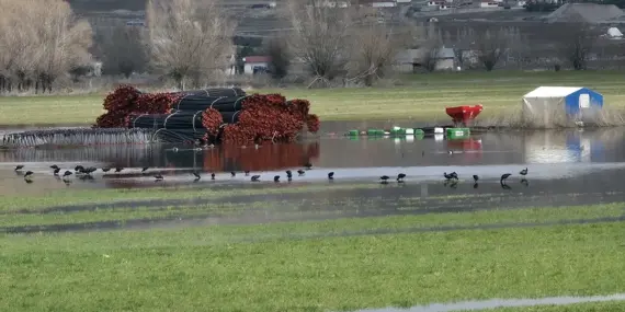 Hafik’te Tarım Arazilerinde Su Birikintileri