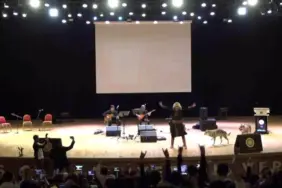 Sivas'ta Nevruz Kutlamalarında Kurt ve Şahin Şov