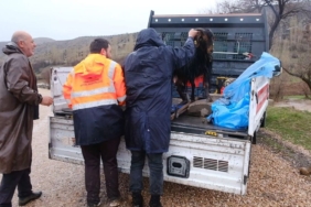 Mahsur Keçi İtfaiye ile Kurtarıldı