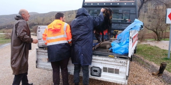 Mahsur Keçi İtfaiye ile Kurtarıldı