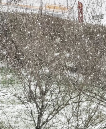 Sivas'ta Kar Yağışı Etkili Oluyor