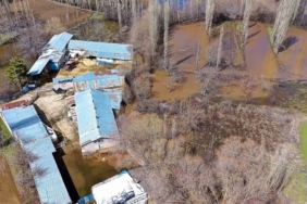 Eşikli Köyü'nde Sel Felaketi